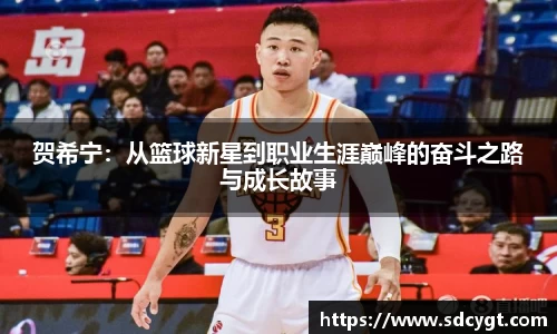 贺希宁：从篮球新星到职业生涯巅峰的奋斗之路与成长故事